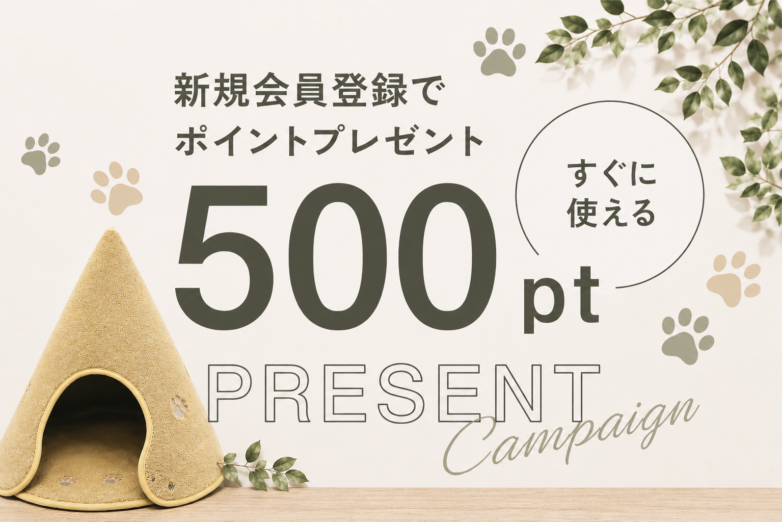 キャンペーンのお知らせ