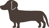 犬と暮らす