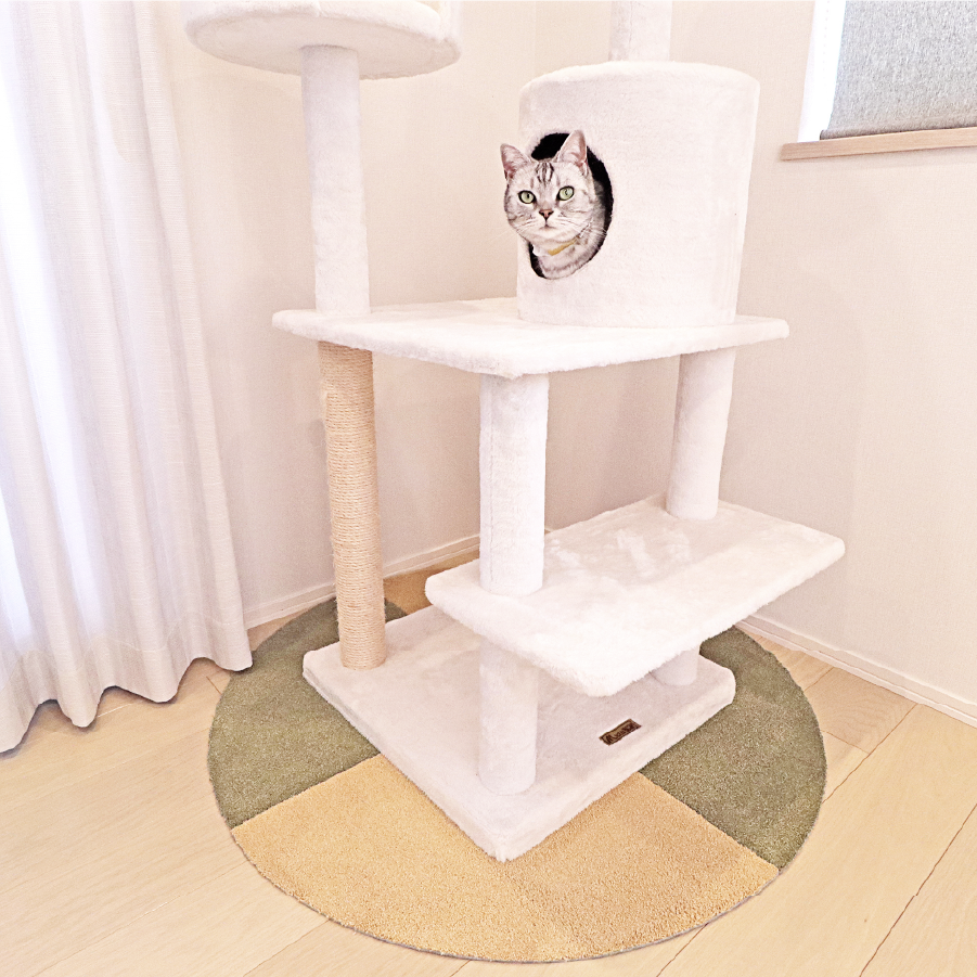 キャットタワー下<