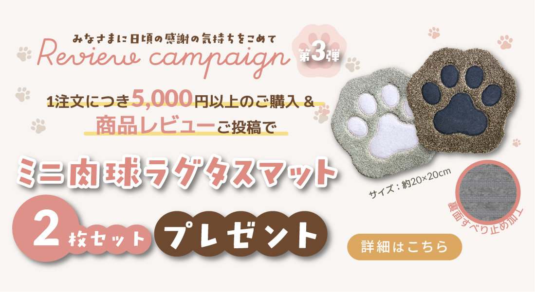 レビューキャンペーン詳細