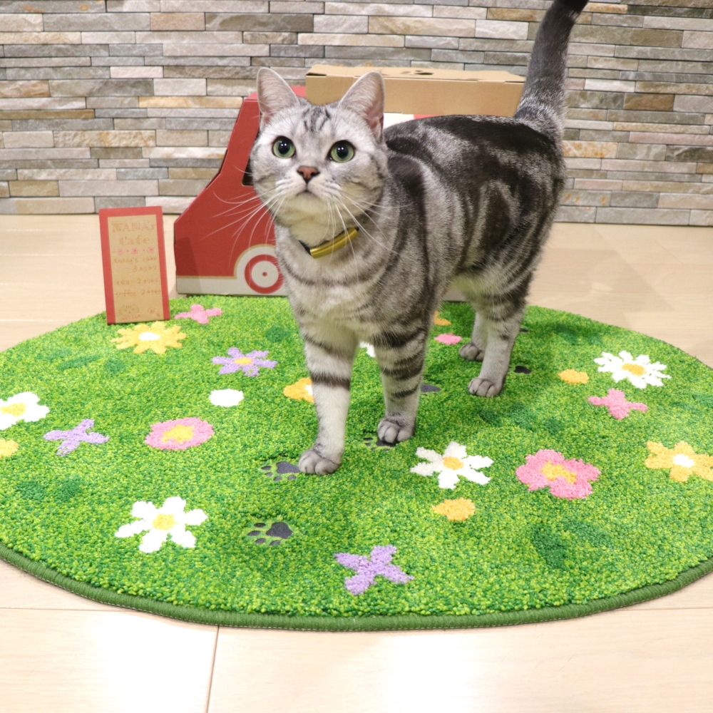 てくてくワゴン使用イメージ3